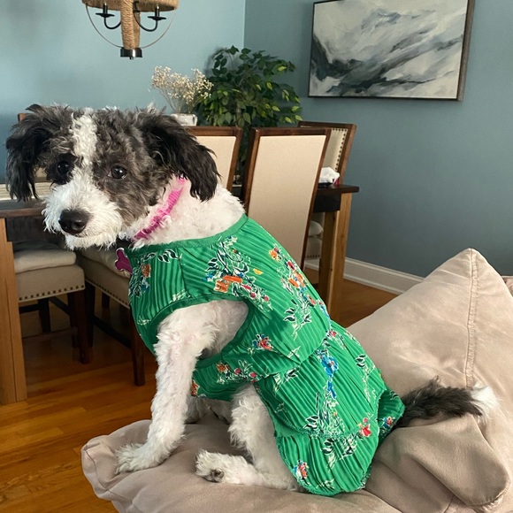 NEW Boots & Barkley Green Floral Dress For Pets Size M - Picture 1 of 8